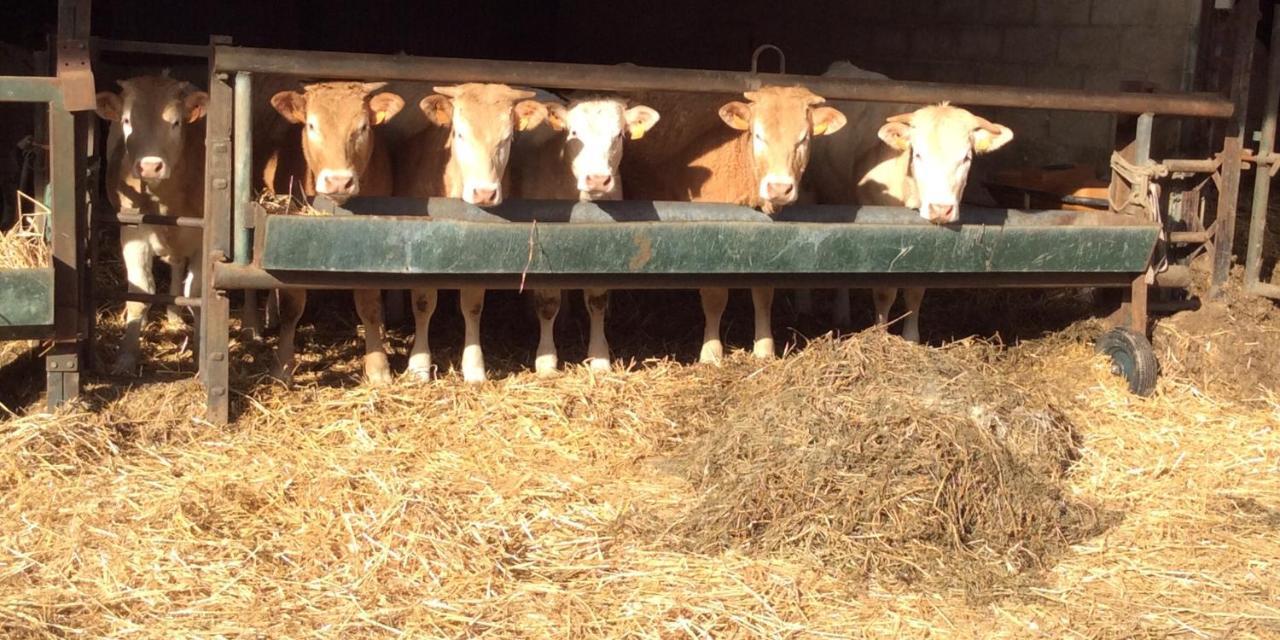 Aux Bois Dores De La Ferme De Sorval, Animaux De La Ferme, Fitness Selvigny Экстерьер фото