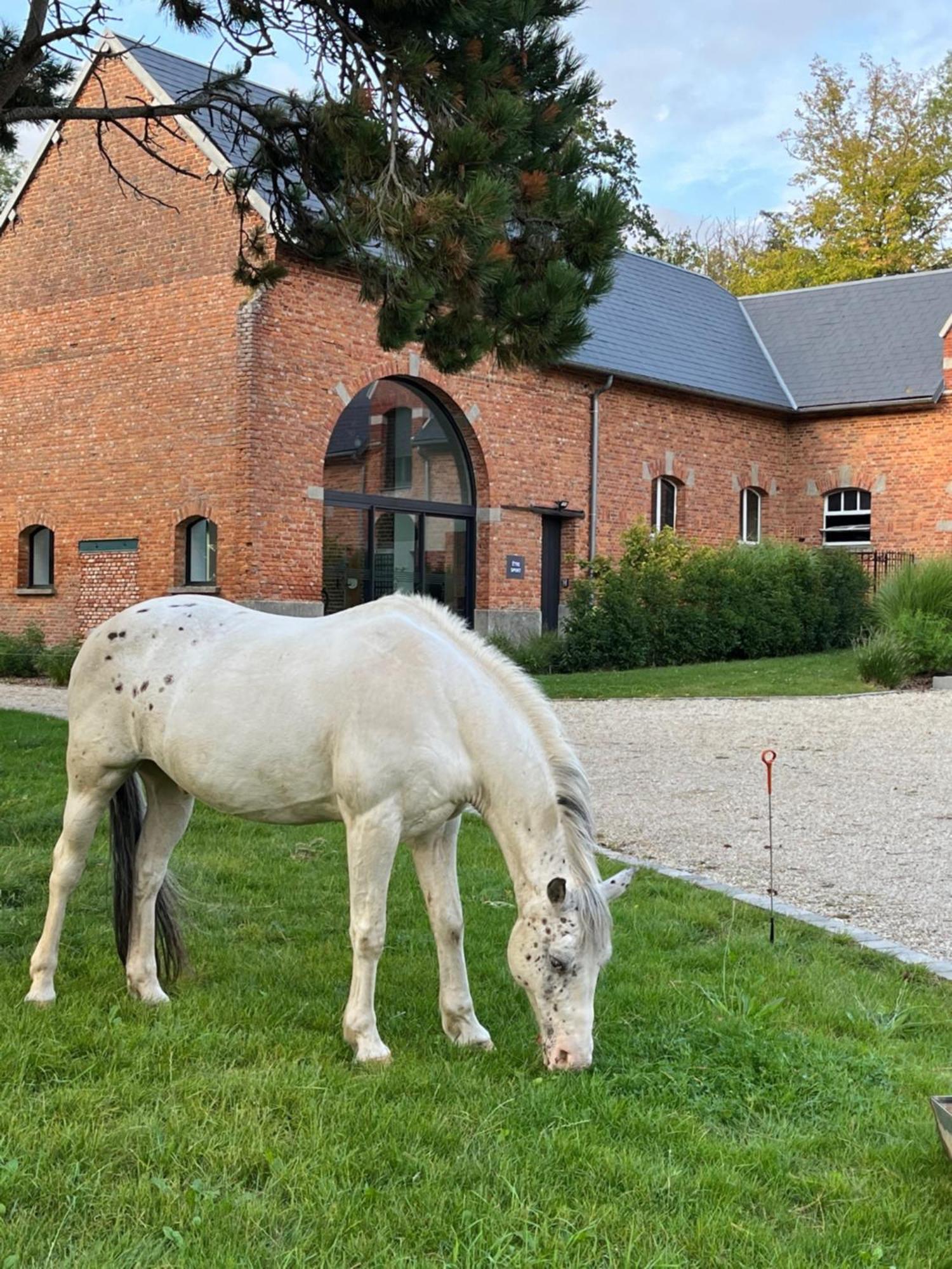 Aux Bois Dores De La Ferme De Sorval, Animaux De La Ferme, Fitness Selvigny Экстерьер фото